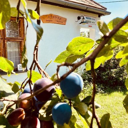 Ubytovanie U Aranky Cierna nad Tisou Exterior foto